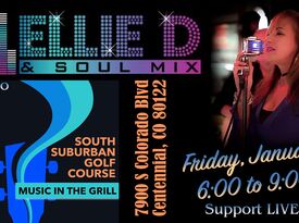 Ellie D & Soul Mix - Blues Band - Denver, CO - Hero Gallery 4