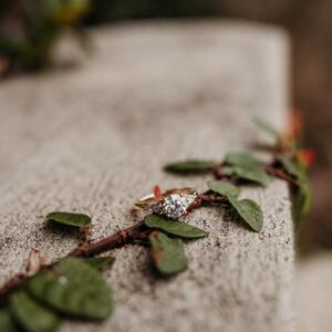Gallery Photo 21