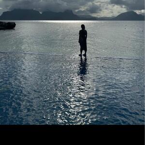 Gallery Photo 137