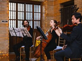 Spruce Quartet DC - String Quartet - Washington, DC - Hero Gallery 1