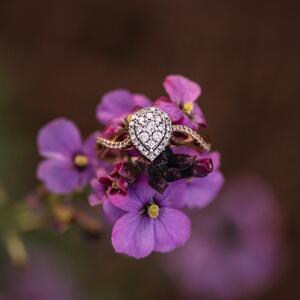 Gallery Photo 9