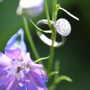Gallery Photo 6