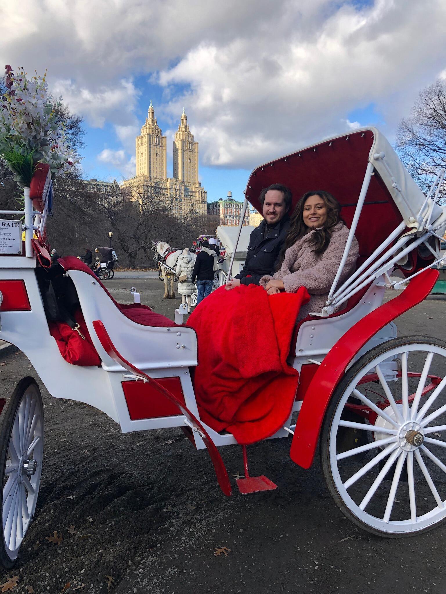 8th Anniversary - Surprise Horse Carriage ride in Central Park