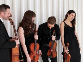 Lucia String Quartet - String Quartet - Madison, WI - Hero Gallery 1