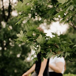 Gallery Photo 27