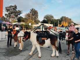 Haley’s Petting Zoo - Animal For A Party - Hemet, CA - Hero Gallery 4