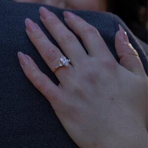 Gallery Photo 7