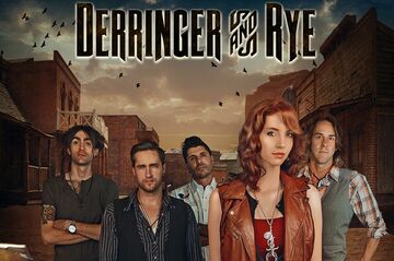 Derringer & Rye - Country Band - Chicago, IL - Hero Main