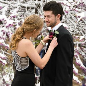 Gallery Photo 24
