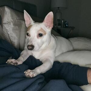 Gallery Photo 23