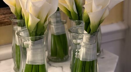 Ten Tulips: Vase Arrangement, Lexington, KY