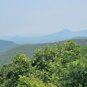 Gallery Photo 28