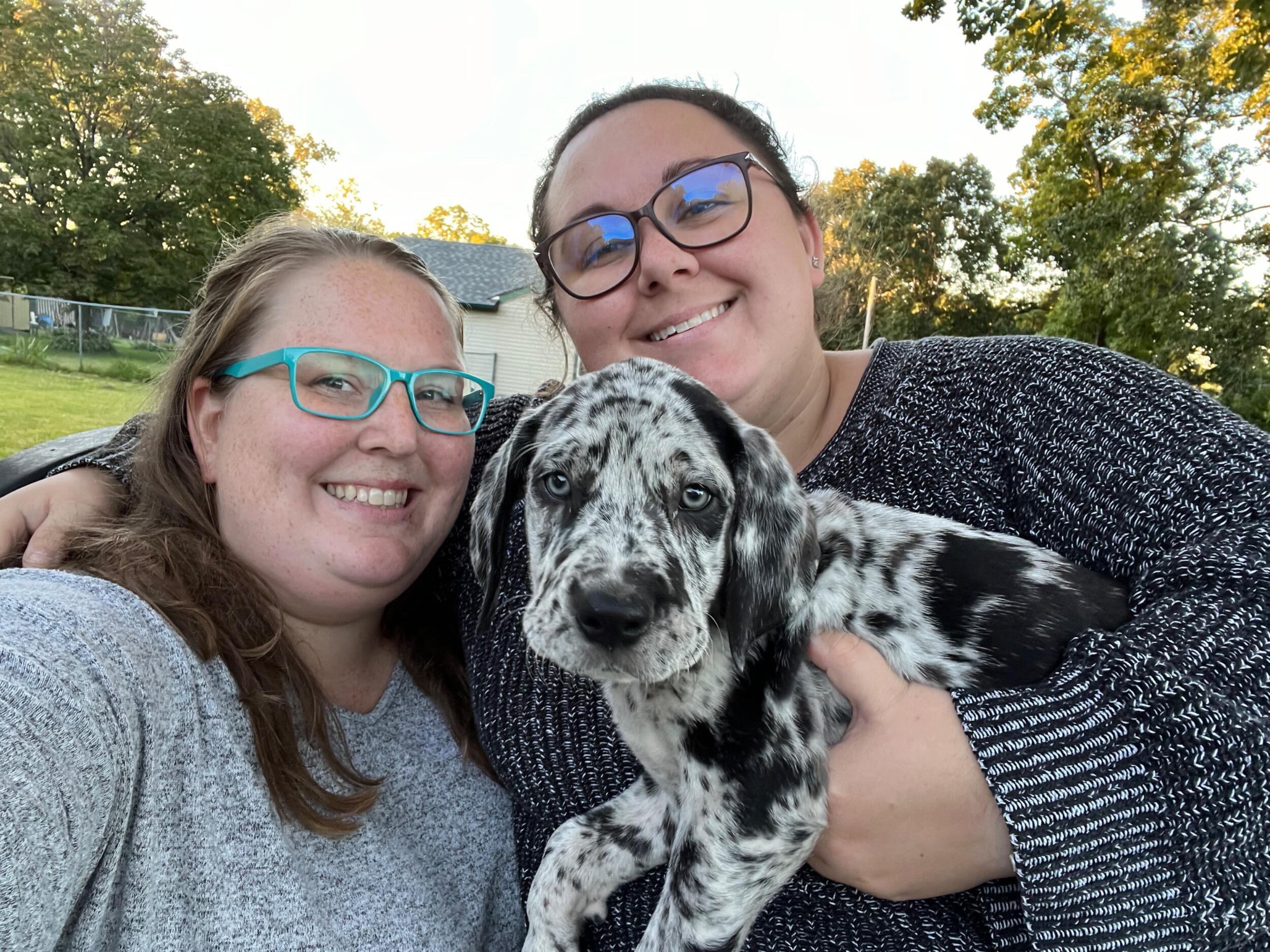 Tallulah joined our family. We were looking to adopt a dachshund and stumbled on this giant instead! 