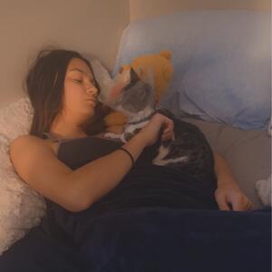 Gallery Photo 21