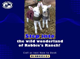 Robbie's Ranch - Animal For A Party - Carmel, NY - Hero Gallery 1