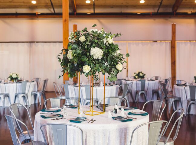 Bella on the Vine Event Center | Reception Venues - The Knot