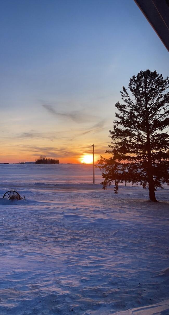 Steph moved back to Waterloo to complete her degree at UNI, and a year later, in 2022, we moved into our first home together! This marked the beginning of an exciting new chapter in our relationship as well as many beautiful country sunsets. 