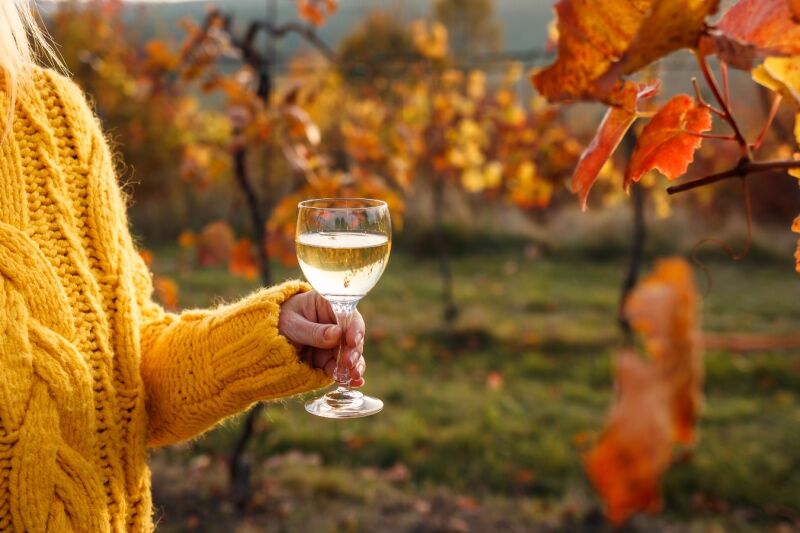 Fall party ideas - beer or wine taating