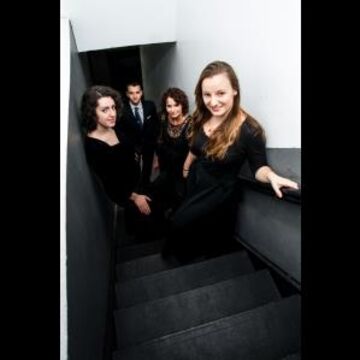 The Dolce Ensemble - String Quartet - New York City, NY - Hero Main