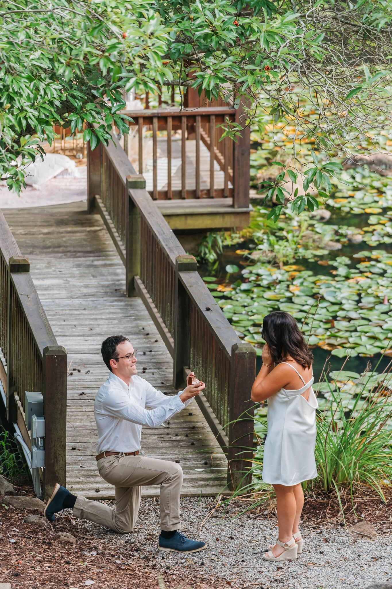 Nikki and Gray got engaged in Asheville, NC, during the week of their four-year dating anniversary.