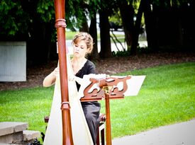 Brittany Smith - Classical Harpist - Barrington, IL - Hero Gallery 2