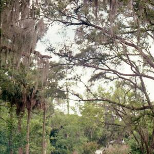 Gallery Photo 4