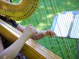 Elysia Román - Harpist - Poughkeepsie, NY - Hero Gallery 2