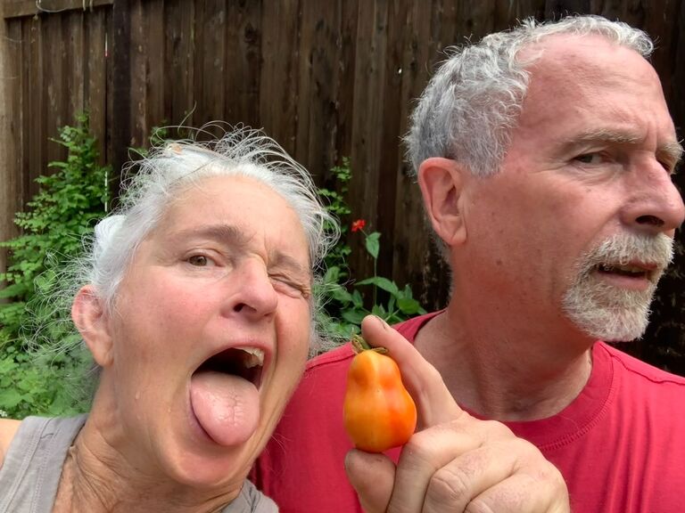 Homegrown tomatoes – yum!