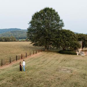 Gallery Photo 19