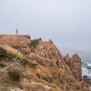 Gallery Photo 13