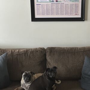 Gallery Photo 9