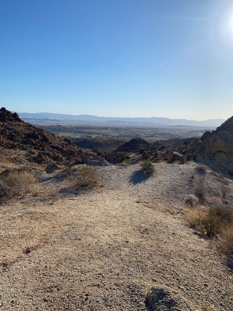  This is the trailhead of 49 Palms Oasis in 29 Palms, CA. Marlene said "Yes!". She practically tripped over a rock when she was stepping backwards realizing what was unfolding. Their lives are forever changed.