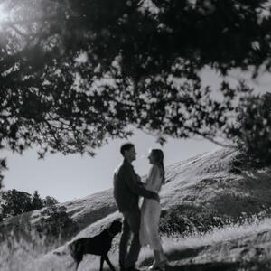 Gallery Photo 12