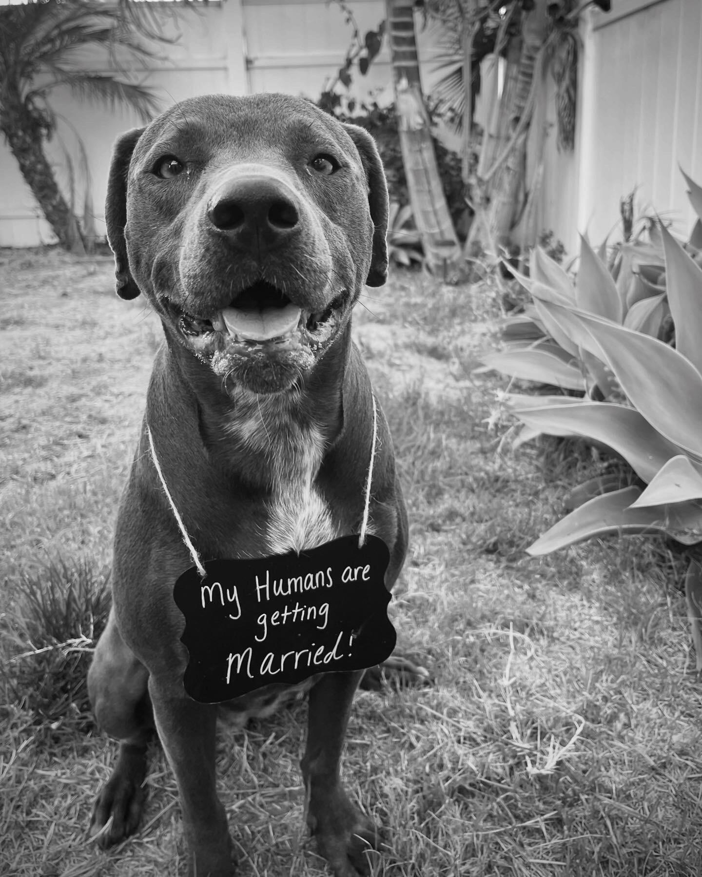 We can't wait to celebrate with you all! 