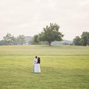 Gallery Photo 16