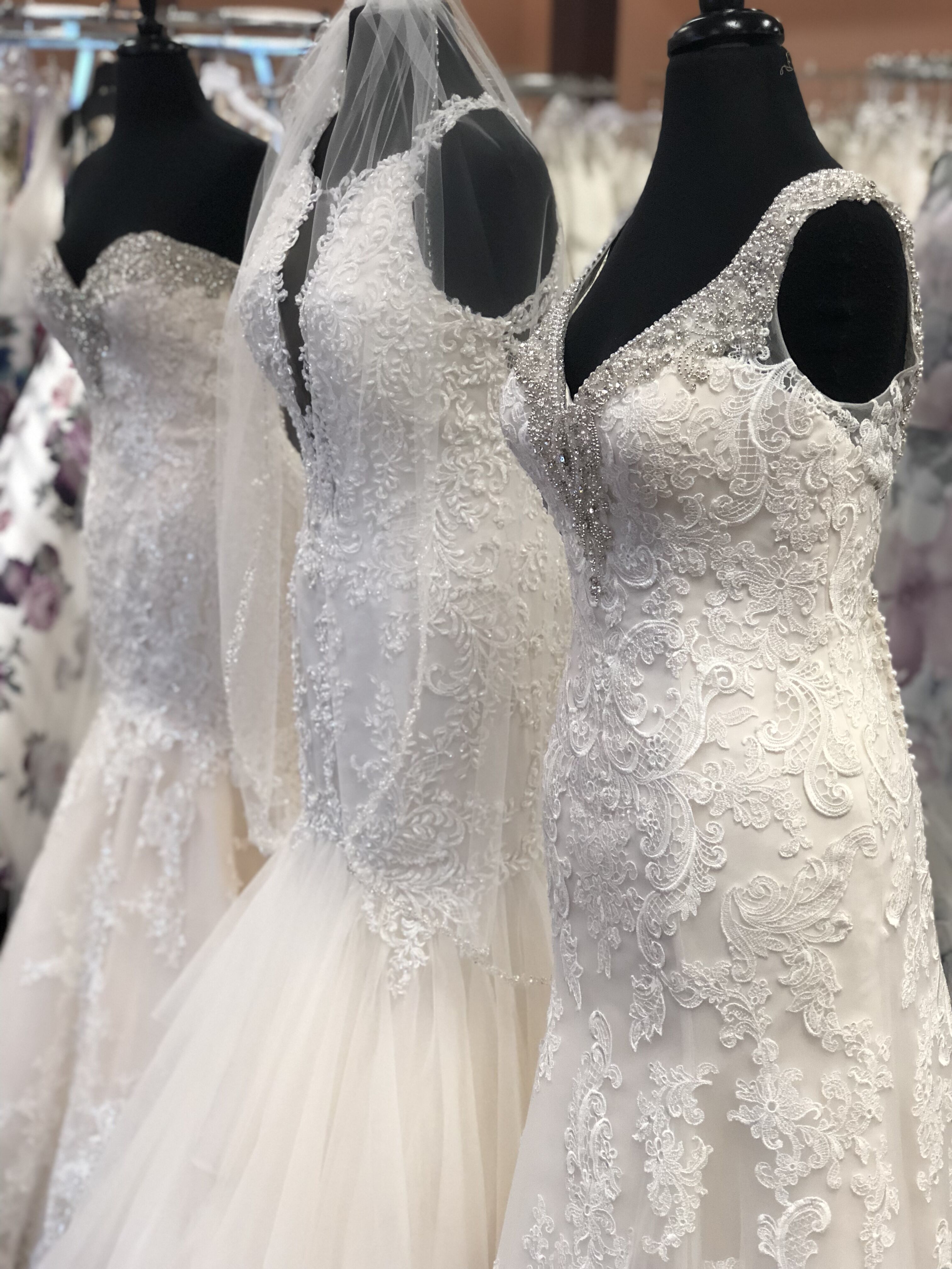 Jocelynn's Bridal | Bridal Salons - The 