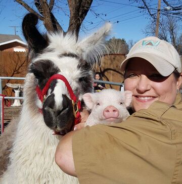 Whitley Acres Exotic Ranch & Stables - Petting Zoo - Levelland, TX - Hero Main