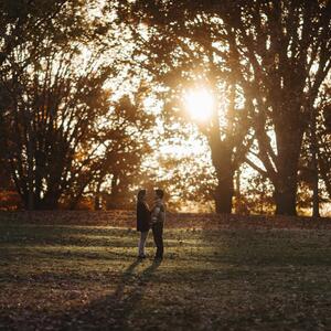 Gallery Photo 452