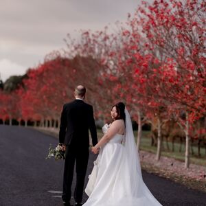Gallery Photo 201