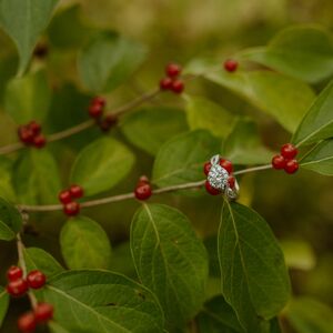 Gallery Photo 51