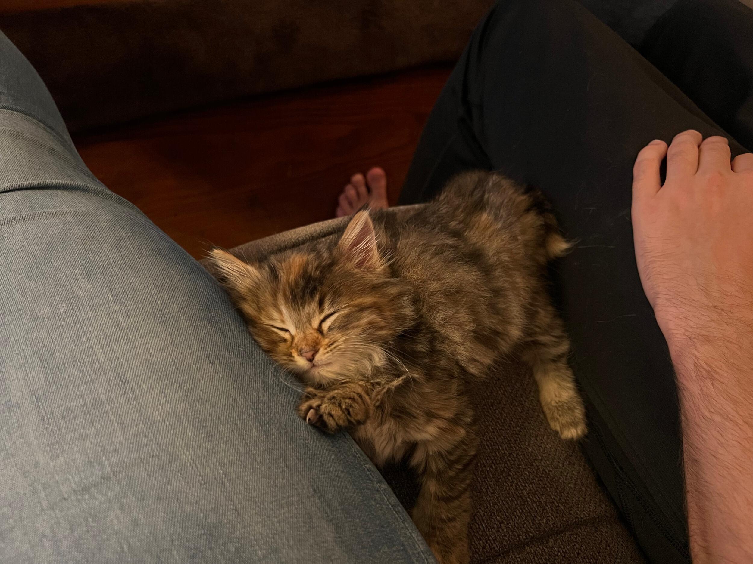 Kellie and Eric adopted Mia