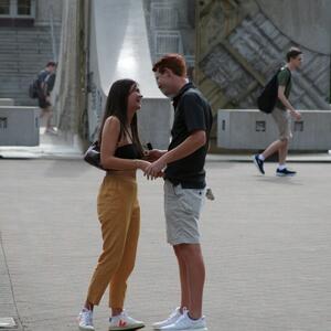 Gallery Photo 17