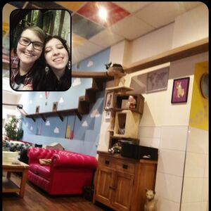 Gallery Photo 40