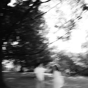 Gallery Photo 23