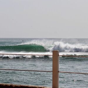 Gallery Photo 5