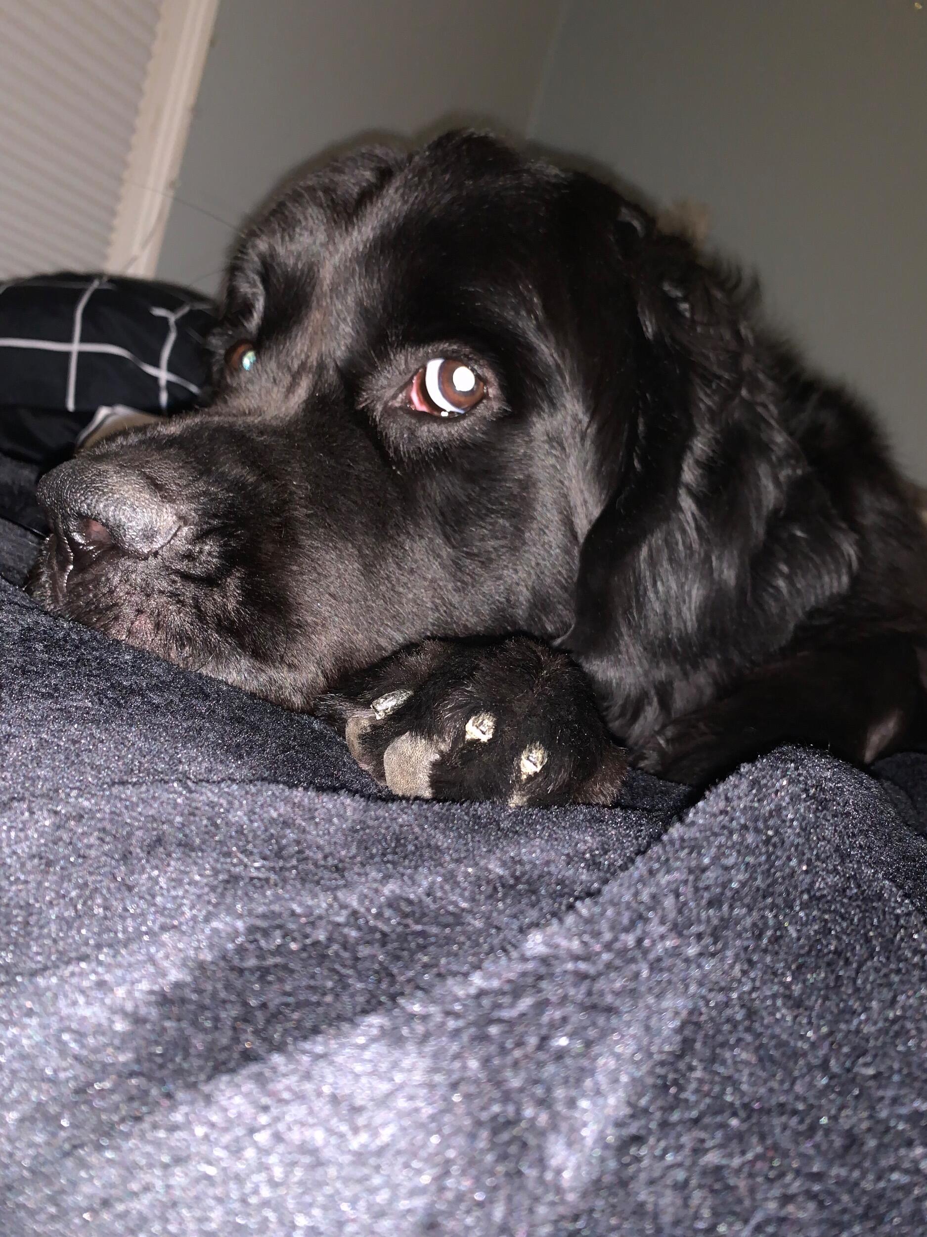 the one where Ellie & I moved in with Melissa ;)