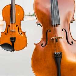 Sunset Strings - Duo, Trio, or Quartet, profile image