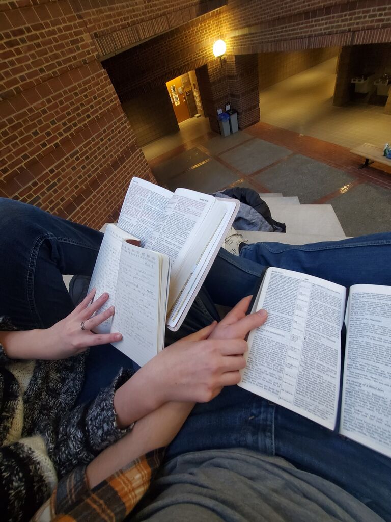 We start studying the Bible together