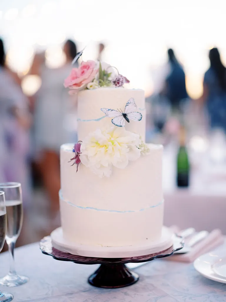 Two-tier wedding cake with butterfly accents, taylor swift themed wedding 