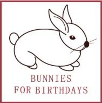 Bunnies for Birthdays - Animal For A Party - Kenmore, WA - Hero Main